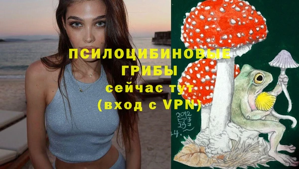 ПСИЛОЦИБИНОВЫЕ ГРИБЫ Няндома