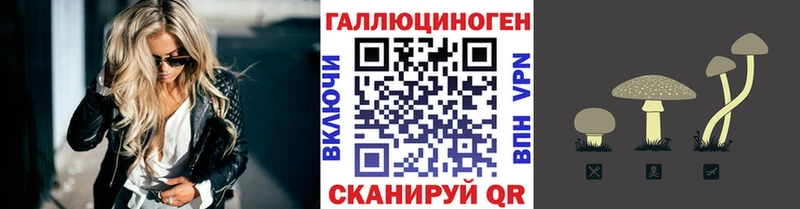 Галлюциногенные грибы мицелий Рошаль