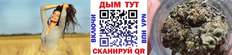 Шишки марихуана марихуана Рошаль